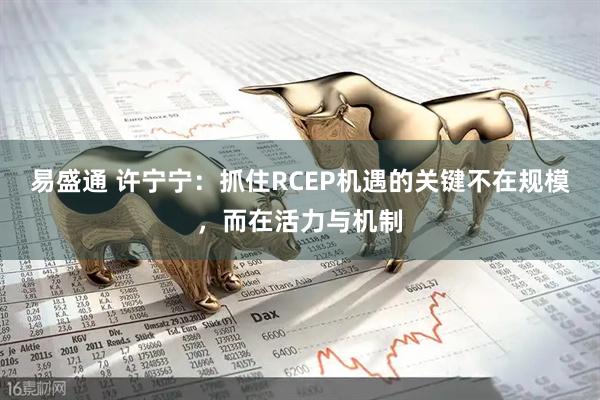 易盛通 许宁宁：抓住RCEP机遇的关键不在规模，而在活力与机制