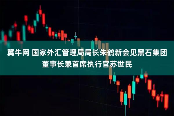翼牛网 国家外汇管理局局长朱鹤新会见黑石集团董事长兼首席执行官苏世民