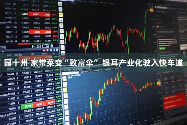 园十州 家常菜变“致富伞” 银耳产业化驶入快车道