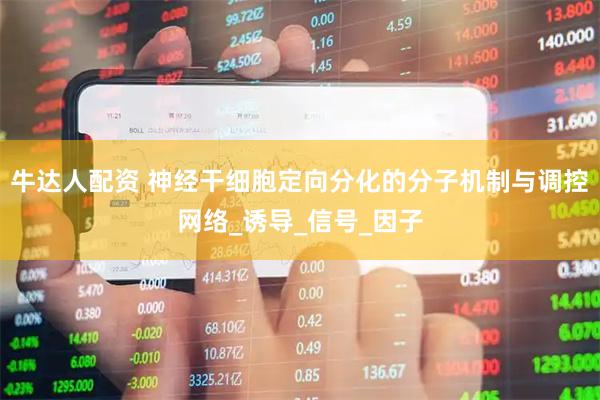 牛达人配资 神经干细胞定向分化的分子机制与调控网络_诱导_信号_因子